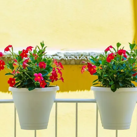 Fuoro 10 Апартаменти