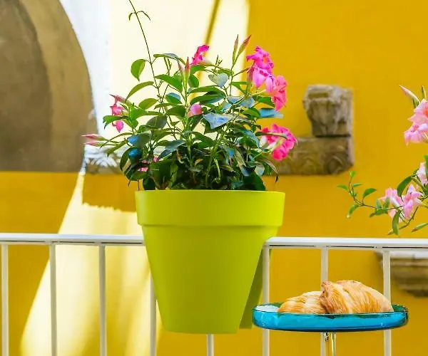 Appartement Fuoro 10